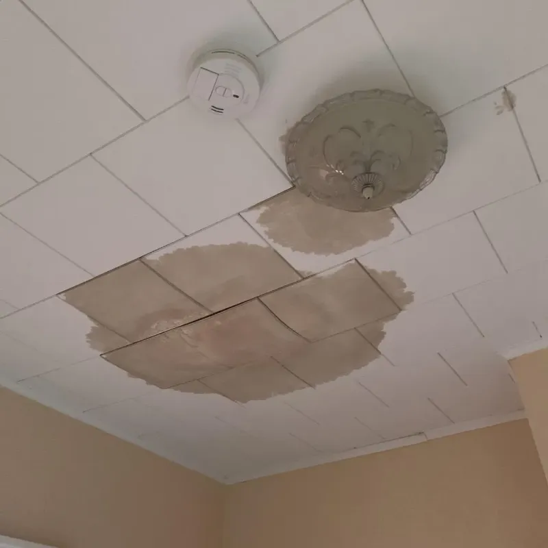 Ceiling Water Damage Repair in Otsego, MN